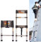 BRIEFNESS Ausziehleiter, Mehrzweck-Teleskopleiter, 2,6 m, 9 Stufen, Edelstahl, für Zuhause, Büro, Dachboden, Wohnmobil, 150 kg Kapazität, Silber, 2,6 m gerade Leiter