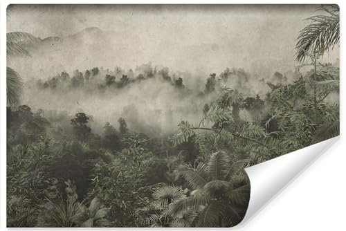 Muralo Fototapete Vlies 3D, Tropischer Wald im Nebel - 135x90 cm