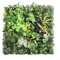 Decoración de pared para el hogar con planta cuadrada de hierba verde artificial, ideal para hoteles y cafeterías (4)