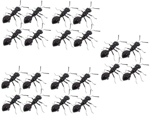 YARNOW 5 Sätze Ameisengartenstatue Ameisenfarmen Für Realistische Gefälschte Insekten Garten Ameisen Dekoration Simulation Ameisen Statue Blumentopf-ameisen- Ton 4 Stück * 5