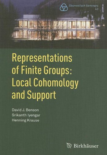 Representations of Finite Groups: Local Cohomology and Support (Oberwolfach Seminars Book 43) (English Edition)