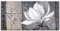 ARTLAND Wanddeko Leinwand Bilder Wandbild 150 x 75 cm Botanik Blumen Magnolie Malerei Schwarz Weiß A3GE Klassische Magnolie