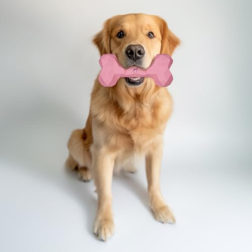 Kauspielzeug für Hunde Kauknochen robust & langlebig: Hundespielzeug gegen Langeweile aus Naturkautschuk für aggressives kauen - befüllbar, robust & gut für die Zahnpflege | Farbe: Rose, Größe: M
