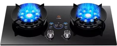 Réchaud Au Propane, Réchaud Au Propane Portable À 2 Brûleurs, Table De Cuisson À Gaz En Verre Trempé Maximum 17742,4 BTU, Adapté À Extérieure, Aux Camping-cars Et Aux Appartements (Color : LPG, Size