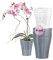 Garten lux Orchideentöpfe Anthrazit 4er-Set 1L Ø13 cm mit 4er-Set Orchideen Übertöpfe Drainageloch Kunststoff Transparent 0.55L Ø11 cm für den Innenbereich