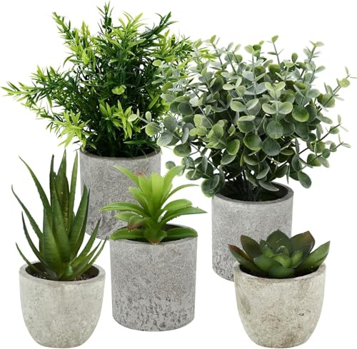 Sitbfoam 5 Stück Kunstpflanze, Mini Künstliche Pflanzen Schlangenzunge, Agave Sukkulente, Eagle Claw Aloe, Künstliche Pflanzen für Schlafzimmer Büro Dekoration