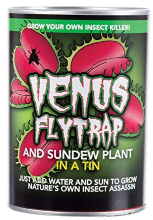 fun Venus Fly Trap in a Tin