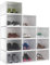 YITAHOME Schuhboxen, 12er Set, Schuhkarton stapelbar stabil, Aufbewahrungsboxen für Schuhe mit transparent Tür und Belüftungslöchern, für Schuhe bis Größe 46, stapelbare schuhbox Weiß