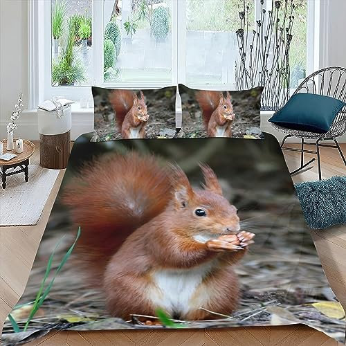 OakiTa EichhöRnchen BettwäSche Set Kinder Braunes EichhöRnchen 3D Mikrofaser 3D-Digitaldruck Bettbezug mit Reißverschluss Und 2 Kissenbezüge 80x80 cm (A02,135x200cm/80x80cm)