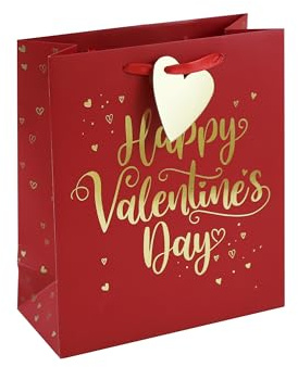 Eurowrap Happy Valentines Day Paper Gift Bag Love Special with Heart Gift Tag Medium