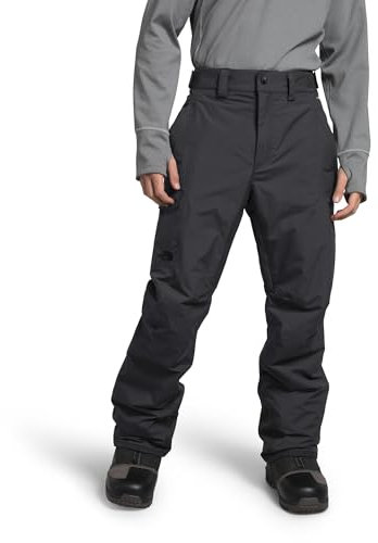 THE NORTH FACE Freedom Isolierte Herren-Hose, PFAS-frei, Asphaltgrau-NPF, Größe XS