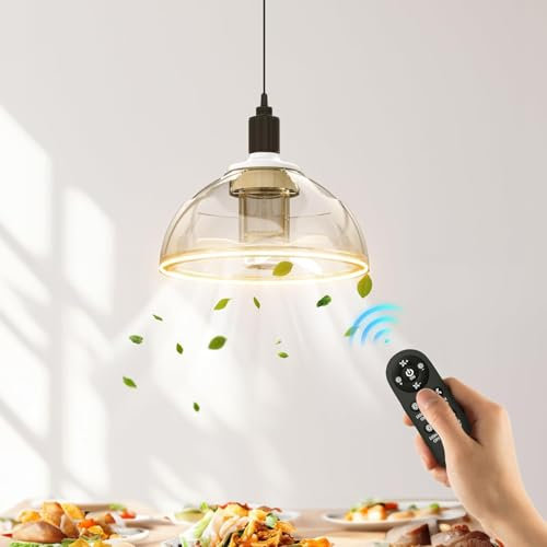 E27 Ventilador de Techo con Luz Regulable Lámpara Ventilador con Mando a Distáncia Moderno Ventiladores de Techo Silencioso Luces de Plafon Iluminación para Salón Dormitorio Restaurante (1 Pcs)