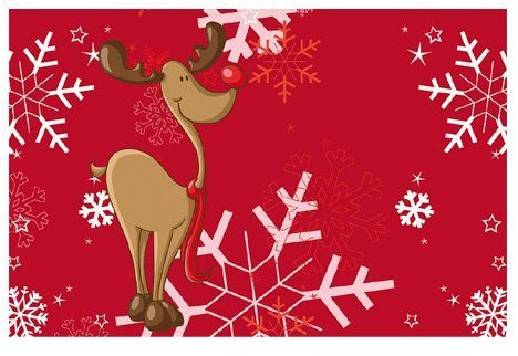 Waschbare Fußmatte Hirsch im Schnee Fußabtreter Türmatten Schmutzfangmatte Küchenteppich