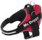 MR. DOGGY Personalisiertes Hundegeschirr - Reflektierendes und sicheres Hundegeschirr - Enthält 2 Namensschilder - Klein, Mittel und Groß - Qualität und Beständigkeit (Rot, XS 3-7,5KG)