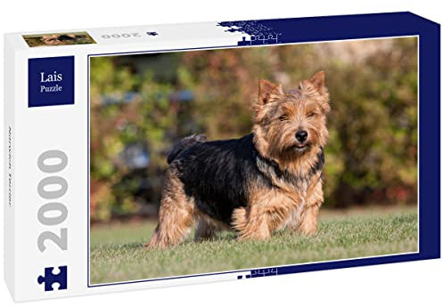 Lais Jigsaw Puzzle Norwich Terrier 2000 pieces