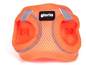 Gloria Harness for Dog Trek Star 27-28 cm 31-34.5 cm Orange XS