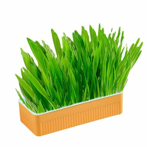 Hydroponic Cat Grass Planter, Cat Grass Growing Kit, Soil Free Cat Grass with Planting Box for Indoor Cats Pets (Blue Orange)