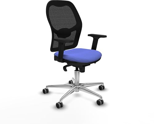 Piqueras y Crespo Ergonomischer Bürostuhl, verstellbar und neigbar, mit fester Rückenlehne, Lendenwirbelstütze 1D, 2D-Arme, für 8 Stunden Nutzung und Maximalgewicht 120 kg