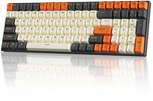RK ROYAL KLUDGE RK100 Kabellose Mechanische Tastatur, Bluetooth 5.1/2.4G/Wired 96% Full Size 100 Tasten Hot Swappable Gaming Tastatur mit LED-Hintergrundbeleuchtung, Schalter