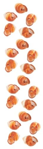 Ciieeo 4 Sätze Natürliche Schneckenschalen Für Gastronomie Essbare Schneckenkochschalen Hitzebeständig Und Sicher Für Ofen Mikrowelle Und Geschirrspüler Französische 5 Stücke * 4