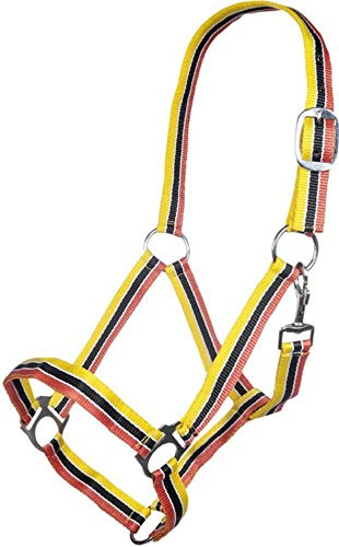 HKM Genf Halfter orange/schwarz/gelb warmblut wb full