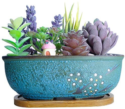 vaso rettangolare per bonsai in ceramica da 7,9 pollici con vassoio piccolo contenitore per piante succulente per cactus, scatola per finestra da giardino con vassoio in bambù