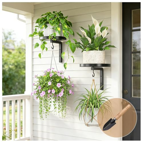 FGHDFH Wall Plant Holder with Hook, Metal Hanging Planters for Indoor Plants, Floating Flower Display Stand Plant Wall Shelves for Bedroom Living Room Porch Balcony (Black, 2PCS)