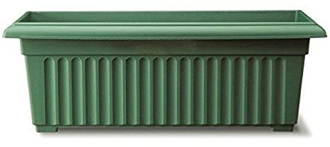 Stewart piantare Corinthian Modello Bac/Verde 70 cm
