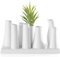Torre & Tagus Eva Multi Tube Vase in rechteckiger Form, Heimdekoration für kleine Blumen, Grün, geschnittene Kräuter, einzigartiger Boho-Halter, für drinnen und draußen, Akzent für Küche, Heimbüro,