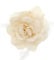 Topkids Accessories Rose Flower Hair Clip Hairband Floral Corsage Fascinator Hair Band Aligator Beak Grip for Women & Girls Wedding Prom Party Special Occasion (Cream)