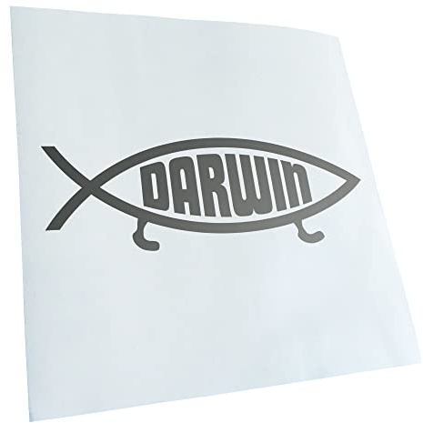Kiwistar - Autoaufkleber - Silber - 15x5cm Darwin Fisch - Heckscheibe Auto Aufkleber wetterfest für Kfz LKW Mofa Truck - Sticker außen selbstklebend Tuning Zubehör für Fenster Fahrzeug Scheibe