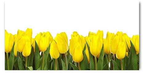Tulup Glass Picture Wall Art - 100x50cm - Tempered Glass Decoration - Print for Living room Bedroom - Toughened Glass Image - Glass picture Wall Art - Yellow tulips