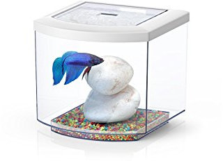 Aquatlantis Aquarium bettacub weiß
