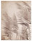 Poster Boho Style Feld Pflanzen 70x100 cm Hochformat - OHNE RAHMEN XXL Wandposter Kunstdruck Fotoposter Wandbild Wandbilder Wand Bild auf Poster Wohnzimmer Schlafzimmer Küche