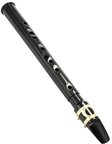 Btuty Black Pocket Sax Mini Portable Saxophone Little Saxophone mit Tragetasche Blasinstrument