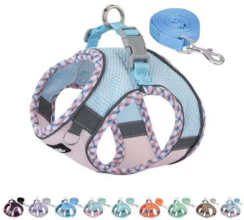 AIITLE Durable Hundegeschirr und Leine Set für Spaziergänge, Schritt in Welpengeschirr, weiche atmungsaktive Haustier Zubehör, für extra kleine Hunde und Hauskatzen Blau Rosa XXXS