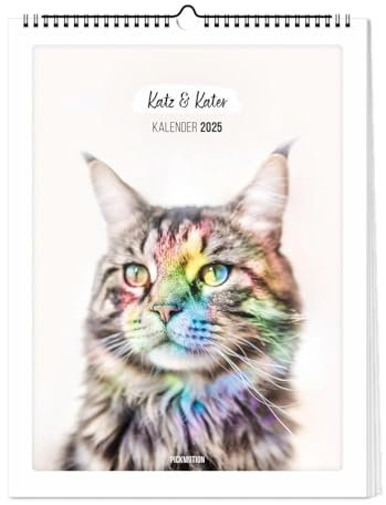Wandkalender 2025 - Katz & Kater