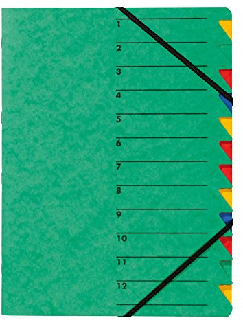 Pagna Ordnungsmappe Easy (Sammelmappe, 12 Fächer, 1-12) grün, A4