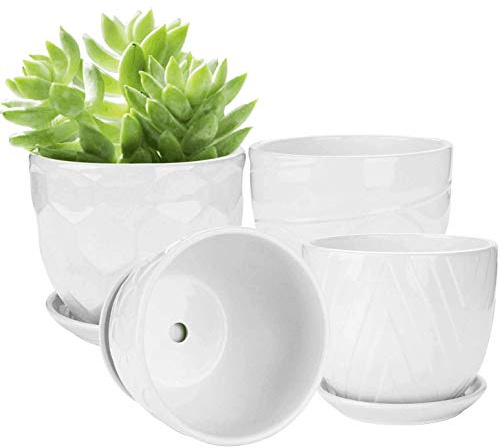 Brajttt Lot de 4 pots de fleurs cylindriques en céramique de 14 cm avec soucoupe connectée, pots de fleurs pour plantes succulentes et petits serpents (lot de 4, blanc)