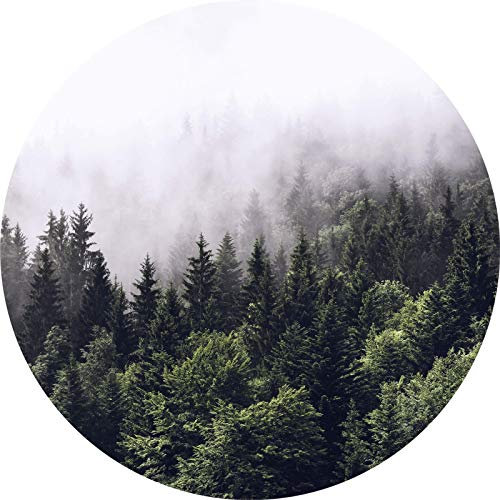 Nebelwald Fototapete rund | 3D Wald Tapete in Nebel ideal für Schlafzimmer und Büro | Tannenwald Bildtapete in Weiß Grün mit Natur Motiv