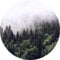 Nebelwald Fototapete rund | 3D Wald Tapete in Nebel ideal für Schlafzimmer und Büro | Tannenwald Bildtapete in Weiß Grün mit Natur Motiv