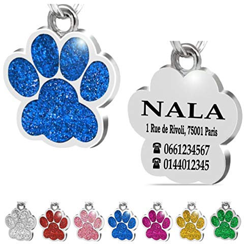 Ibera Gifts - Médaille Chien avec Gravure en Forme de Patte, Médaille pour Animaux de Petite et Moyenne Taille, Médaille Chien Gravée, Médaille Chat avec Gravure (Bleu)