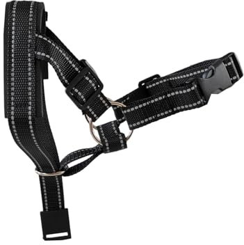 Maulkorb für Hunde, verstellbare Schnalle, Schnalle, verstellbarer Biss mit Schnellverschluss, atmungsaktiv, mit Schnellverschluss