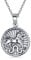 Bling Jewelry Löwe Sternzeichen Astrologie Horoskop Runde Medaillon Anhänger Für Männer Frauen Halskette Antikisiert Sterling Silber