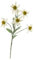 artplants.de Künstliches Alpen Edelweiß Sophia, 5 Blüten, weiß, 40cm - Kunstblume - Deko Blume