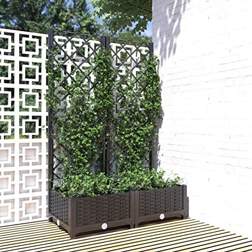 Festnight Jardinière avec Treillis - bac à Fleurs - jardinière sur Pied- Noir 80x40x121,5 cm