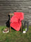Felltrade Merino Schaffell Lammfell echtes Fell in tollen Farben 130-140 cm ökologische Gerbung (rot)