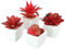 XIZHI Lot de 4 Mini Plantes succulentes artificielles en céramique pour décoration d'intérieur, décoration de Jardin (Rouge)