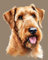 Malen-nach-Zahlen-Set für Erwachsene,Weihnachten,Airedale-Terrier-Hund,Personalisiertes digitales Ölgemälde,Geschenke für die Weihnachtsfeiertage,40x50cm
