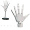 UIGJIOG 1:1 Handmodell Gelenkige Schaufensterpuppe Mobile Schaufensterpuppe Gelenk 40x20cm Puppenhand mit PVC-Basis Handmodell zum Zeichnen Malerei Weiß